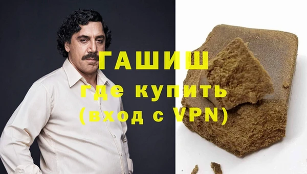 гидра Богородск