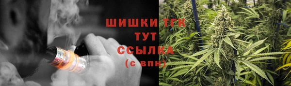дурь Богородицк
