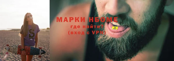 гидра Богородск