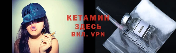 гидра Богородск