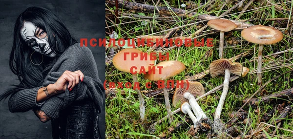 дурь Богородицк