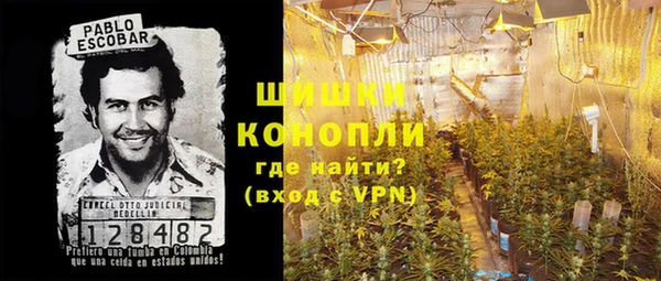 гидра Богородск