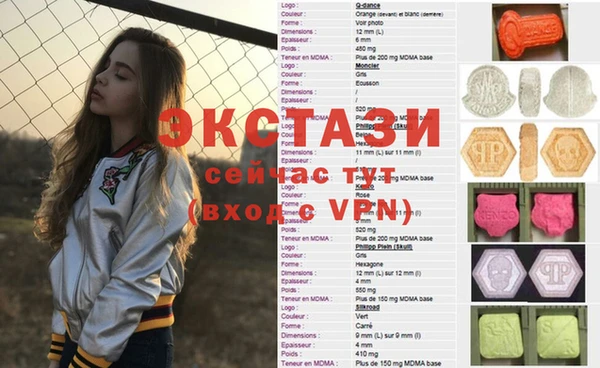 гидра Богородск