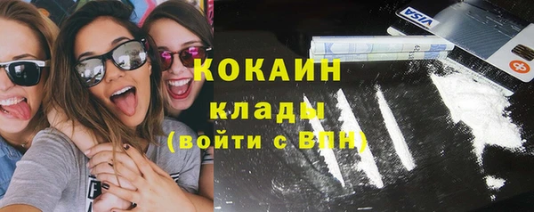дурь Богородицк
