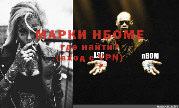 гидра Богородск