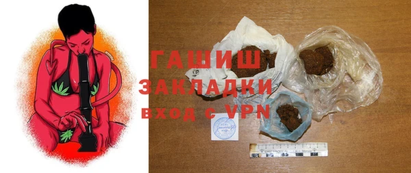 гидра Богородск