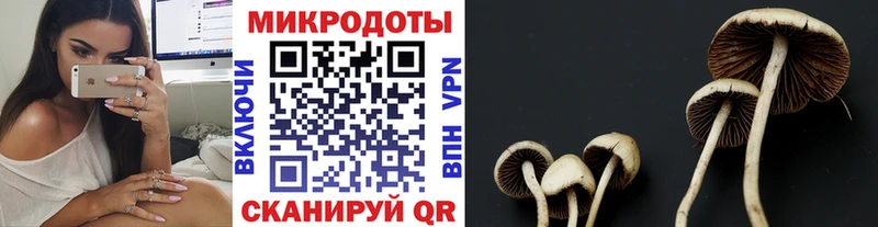гидра как войти  Петрозаводск  Галлюциногенные грибы MAGIC MUSHROOMS 