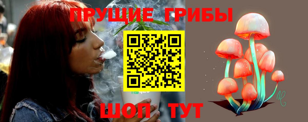 Псилоцибиновые грибы MAGIC MUSHROOMS Петрозаводск
